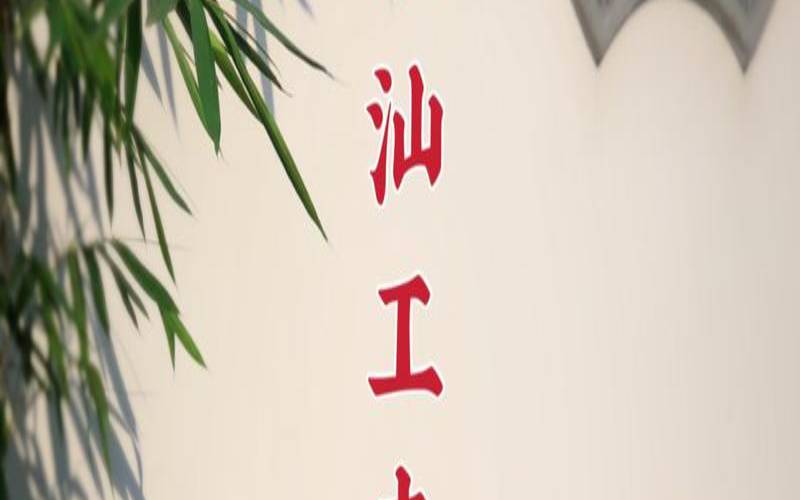 潮汕功夫茶图片清新,汕头功夫茶简介