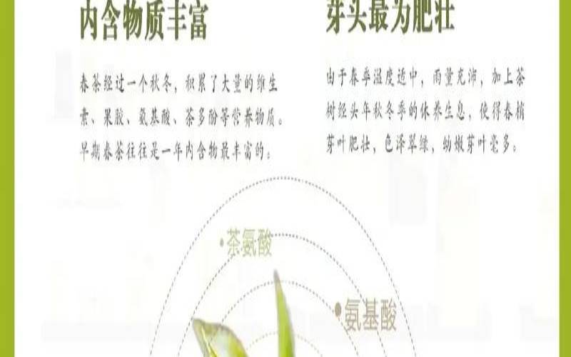 春茶是啥意思,春茶的功效与作用