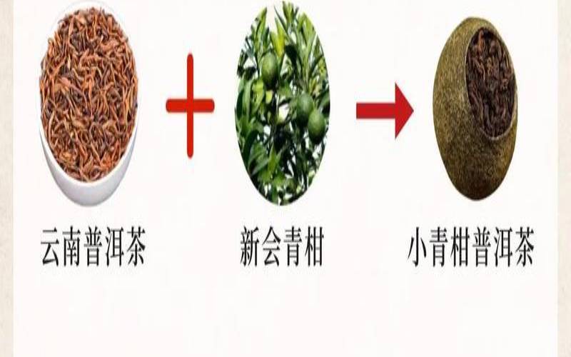 小青柑普洱的简介(小青柑普洱茶叶)，小青柑普洱茶介绍