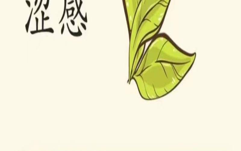 在茶叶不同的滋味中,茶叶的苦涩味主要来源于