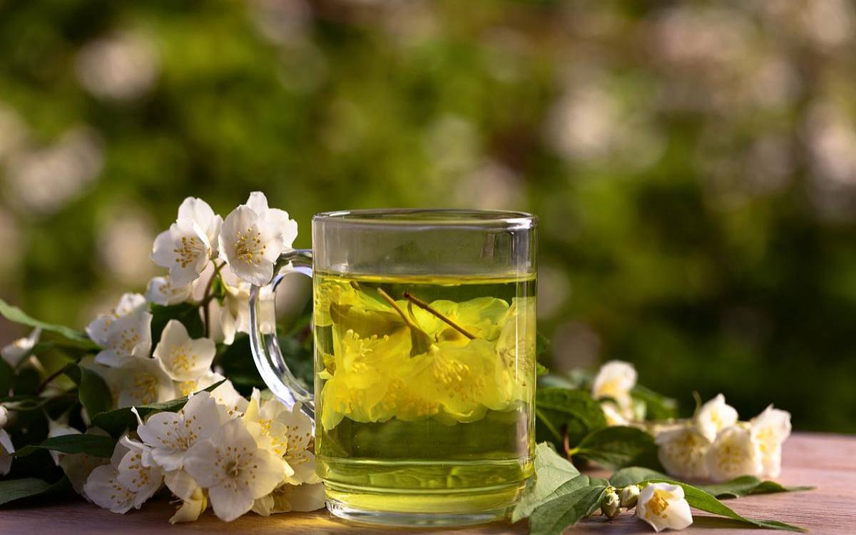 很香的茉莉花茶，特别香的茉莉花茶
