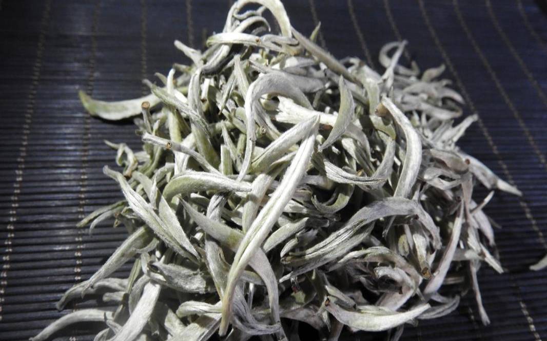 白毫银针是普洱茶吗,普洱喝生茶还是熟茶