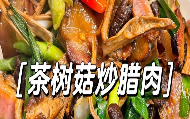 茶树菇吃有什么好处,茶树菇的吃法做法大全