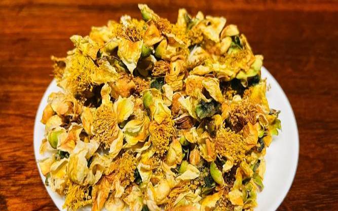 普洱茶叶养花,普洱茶花的功效