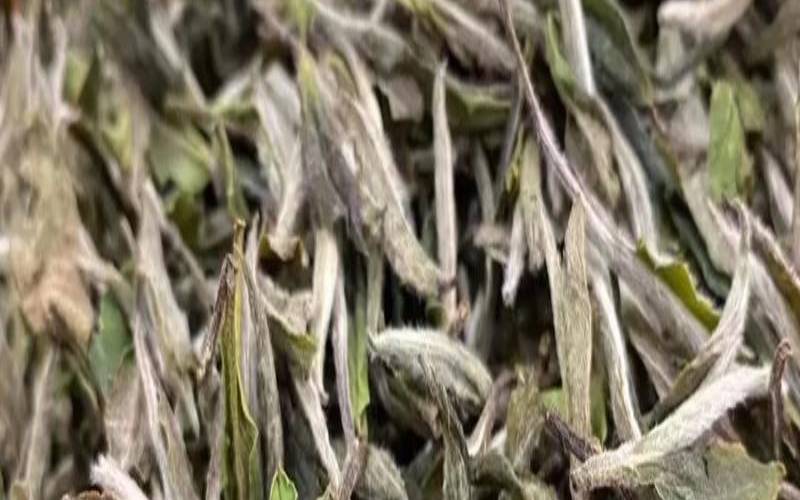 白牡丹茶的功效作用和特点,喝白牡丹茶的好处和坏处