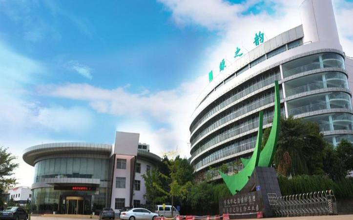 绿之韵官方网店,武夷山兰韵茗茶官网