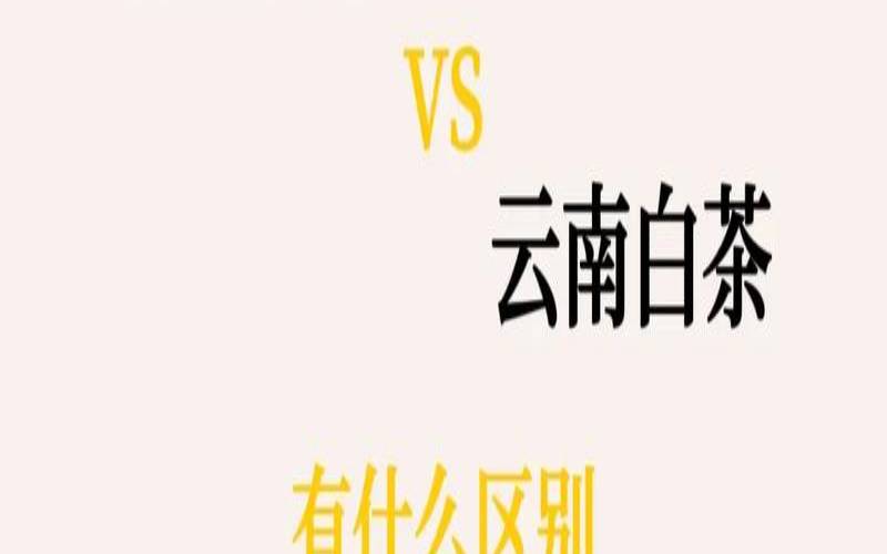 生茶跟白茶的区别,生普和白茶的口感对比