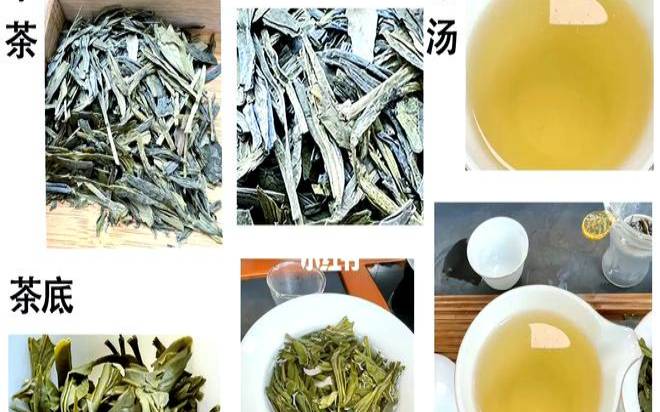 龙井茶怎么选,挑选龙井茶的四大技巧 龙井茶怎么选,挑选龙井茶的四大技巧