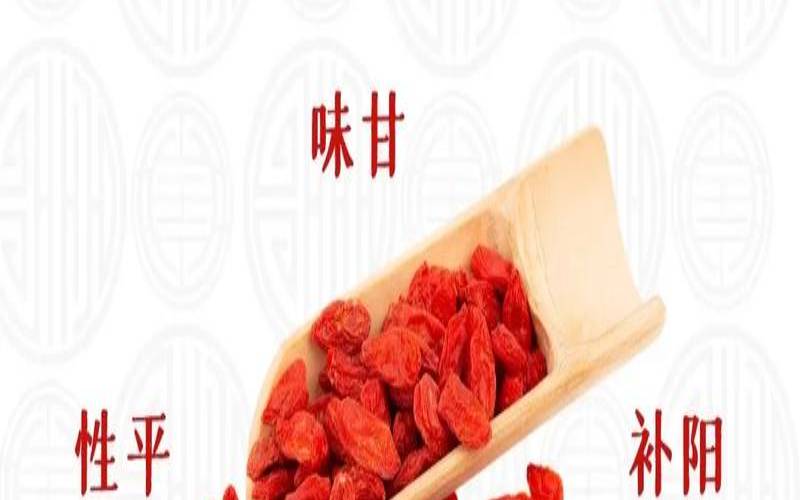 枸杞菊花茶的功效和禁忌,苦荞茶的功效与禁忌