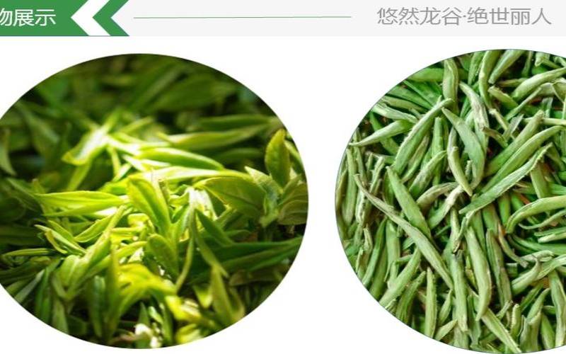 遂昌龙谷丽人茶,源茂兴记茶庄 遂昌龙谷丽人茶,源茂兴记茶庄
