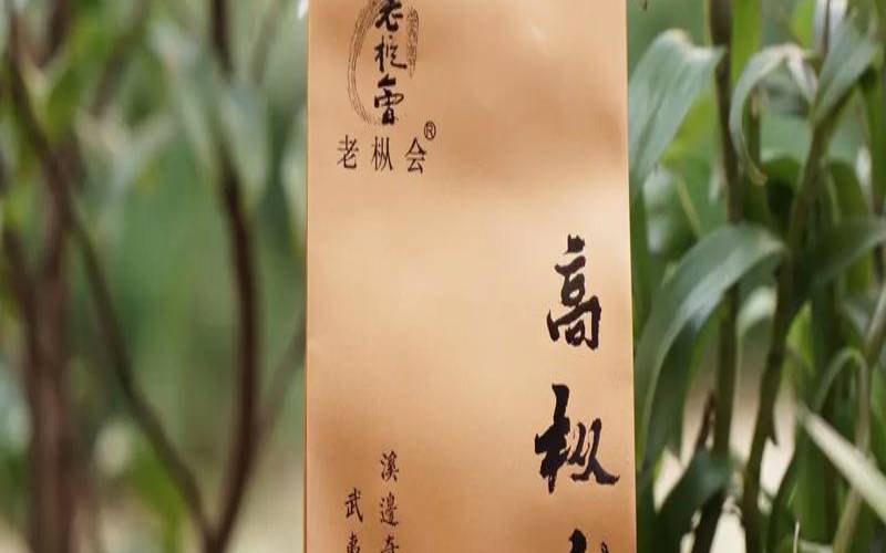 水仙茶叶的功效与作用,老枞水仙适合什么人喝 水仙茶叶的功效与作用,老枞水仙适合什么人喝