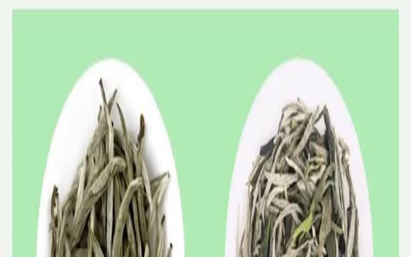 云雾茶有几种,云雾白茶属于什么茶