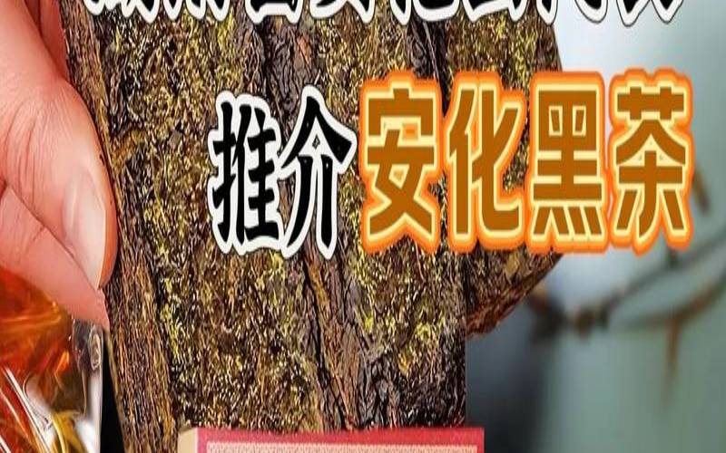 安化黑茶的定义,黑茶28000能退回来吗