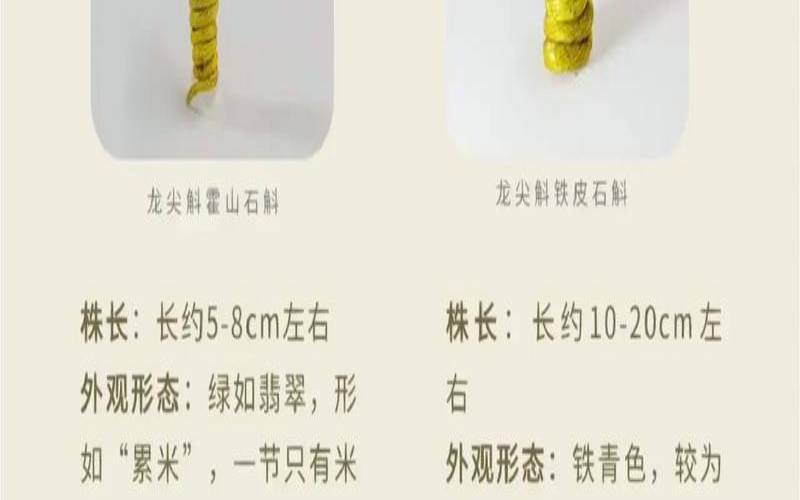 铁皮石斛有没有补肾的功效,石斛是伤肾还是保肾 铁皮石斛有没有补肾的功效,石斛是伤肾还是保肾