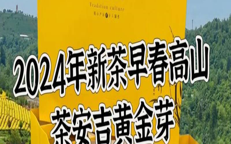 黄金芽茶叶产地在哪里,黄金芽茶叶产地在哪里最好 黄金芽茶叶产地在哪里,黄金芽茶叶产地在哪里最好
