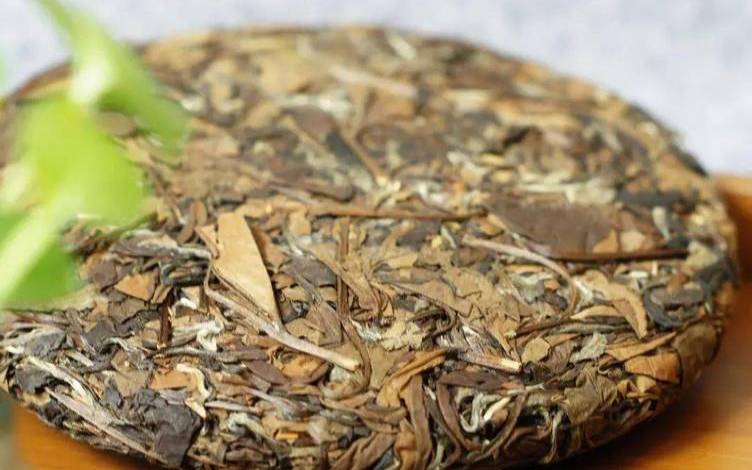 常喝白茶可以减肥吗,喝白茶减肥吗还是增肥