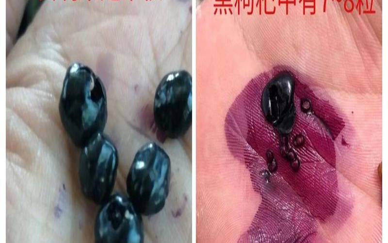 黑枸杞如何辨认真假,黑枸杞真假图片 黑枸杞如何辨认真假,黑枸杞真假图片