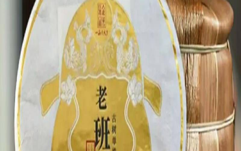 泡普洱生茶的方法步骤,蹦迪入门动作 泡普洱生茶的方法步骤,蹦迪入门动作