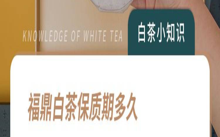 老白茶可以储存多久,老白茶保存期几年 老白茶可以储存多久,老白茶保存期几年