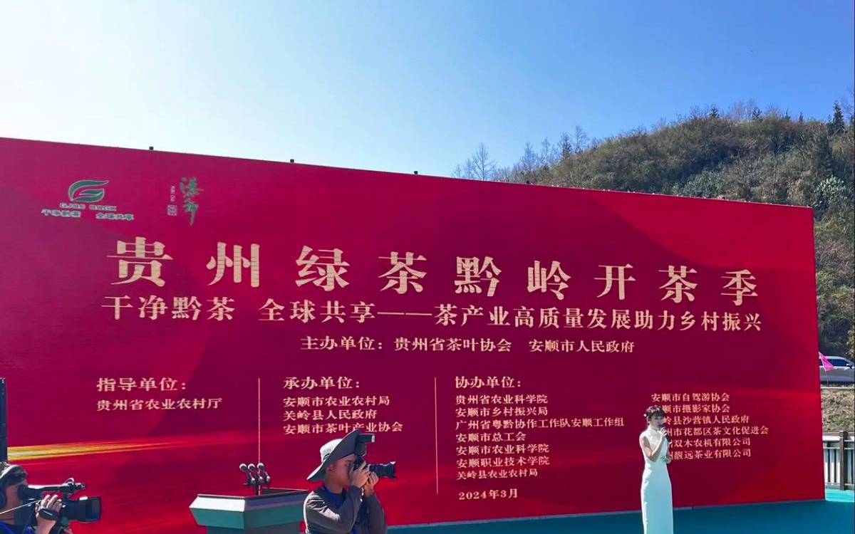 贵州茶叶出口国内研究动态,贵州十大名茶