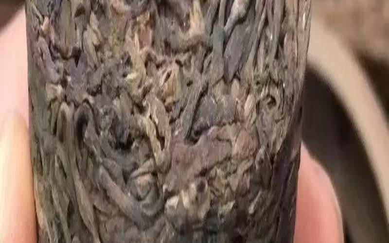 竹筒茶与普洱(竹筒茶怎么样),竹筒普洱茶的功效 竹筒茶与普洱(竹筒茶怎么样),竹筒普洱茶的功效