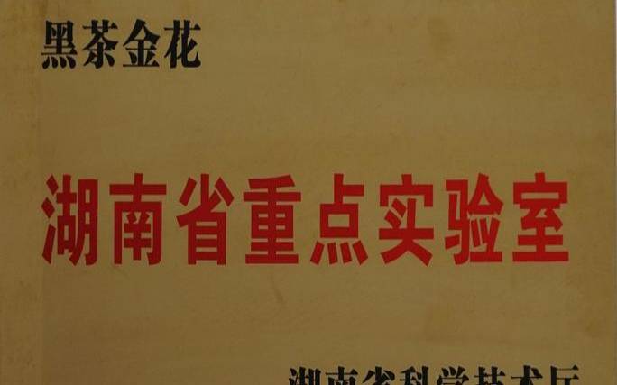 黑茶金花重点实验室，湖南黑茶金花是什么