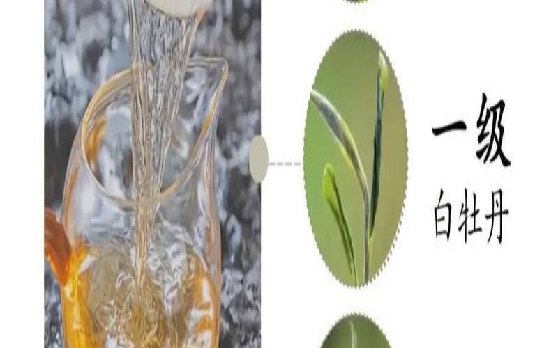 白茶白牡丹茶的特点,白茶白牡丹怎样 白茶白牡丹茶的特点,白茶白牡丹怎样
