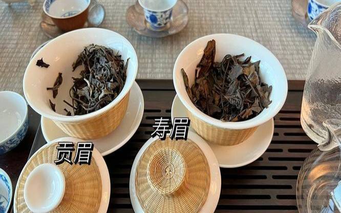 白茶饼与散茶的区别,寿眉茶饼好还是散茶好