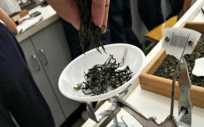 如何称茶叶，茶叶称重怎么称
