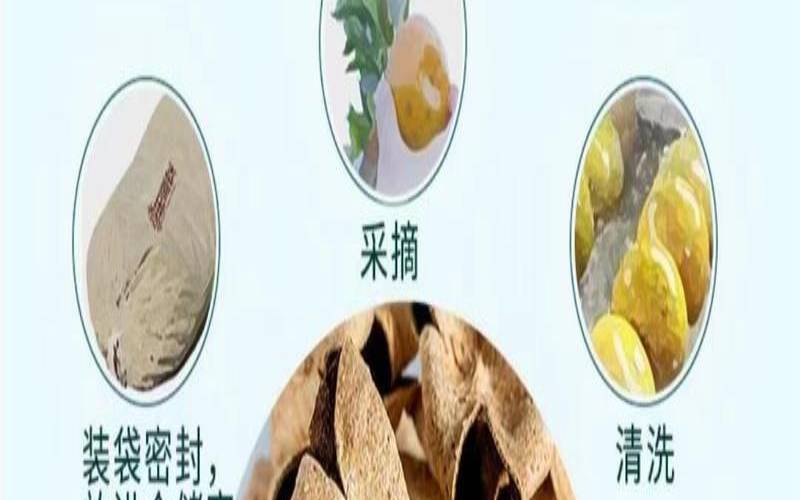 新会陈皮是哪里的特产,正宗新会陈皮苦不苦