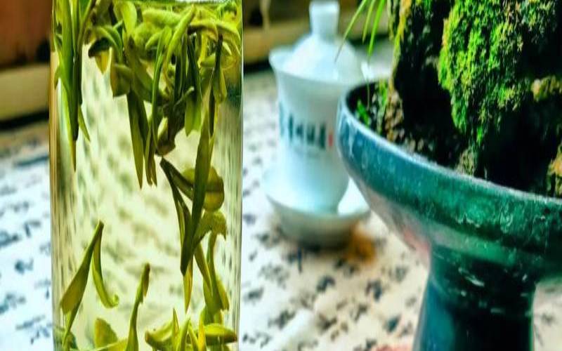 梵净山绿茶属于什么茶,贵州有什么茶叶出名