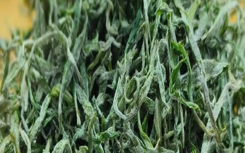 保靖黄金茶的炒制工艺，保靖黄金茶口感特点