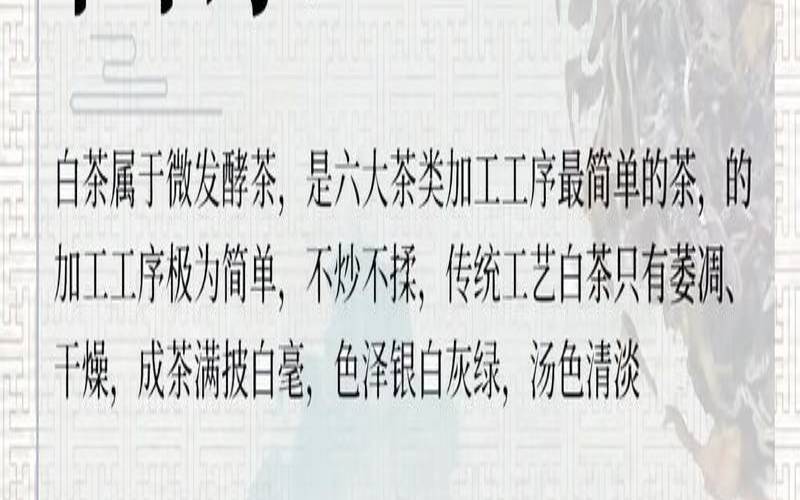 讲讲白茶的知识,白茶知识100问