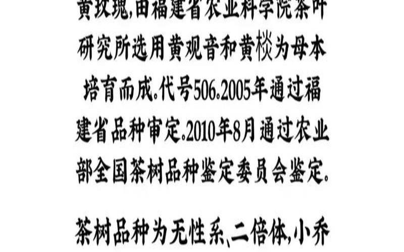 黄玫瑰茶叶属于什么品种,玫瑰大红袍茶 黄玫瑰茶叶属于什么品种,玫瑰大红袍茶