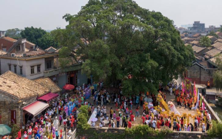 2021茶园游会,音乐会与演唱会区别 2021茶园游会,音乐会与演唱会区别
