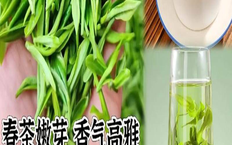 陕西汉阳陵简介,汉中哪里的茶叶比较出名 陕西汉阳陵简介,汉中哪里的茶叶比较出名