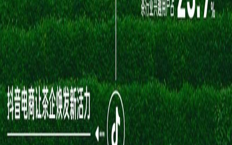 2020上半年福建茶叶产量,福建省茶产业发展报告