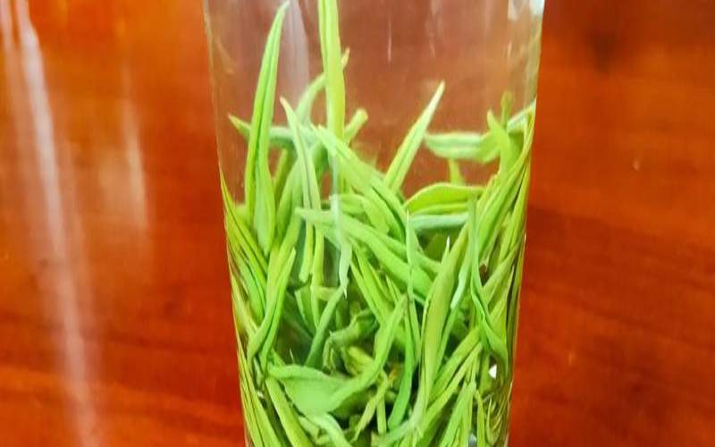 凤凰窝茶叶产地在哪里,黄金茶多少钱一斤 凤凰窝茶叶产地在哪里,黄金茶多少钱一斤