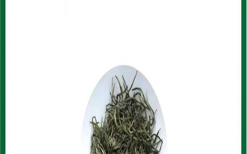 信阳茶是什么茶,信球什么意思啊河南方言
