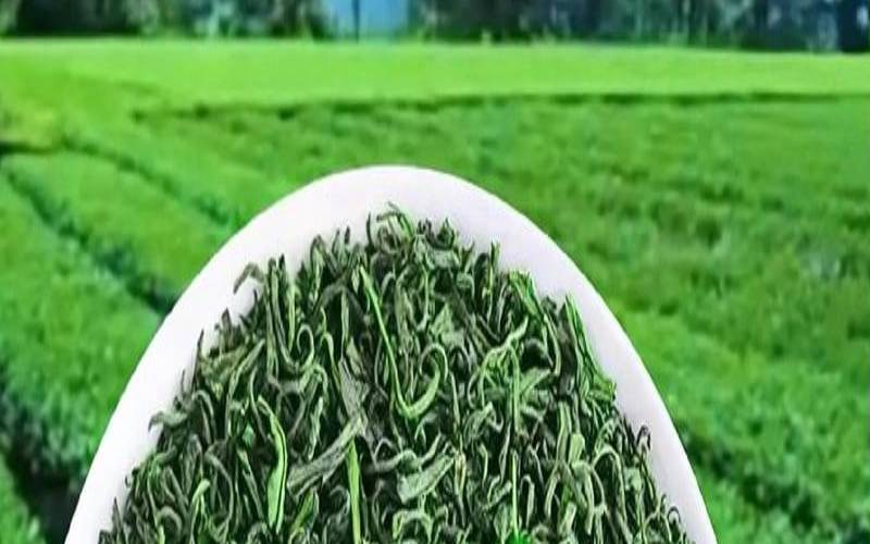 绿茶一般多少钱一公斤,一斤茶叶多少钱