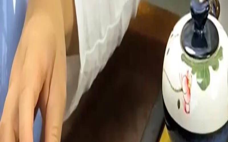 熏茶叶的工具叫什么,泡茶意境视频