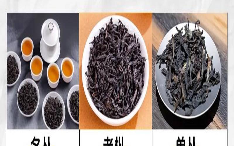 武夷山岩茶叶品牌排行,老枞红茶的正确冲泡方法