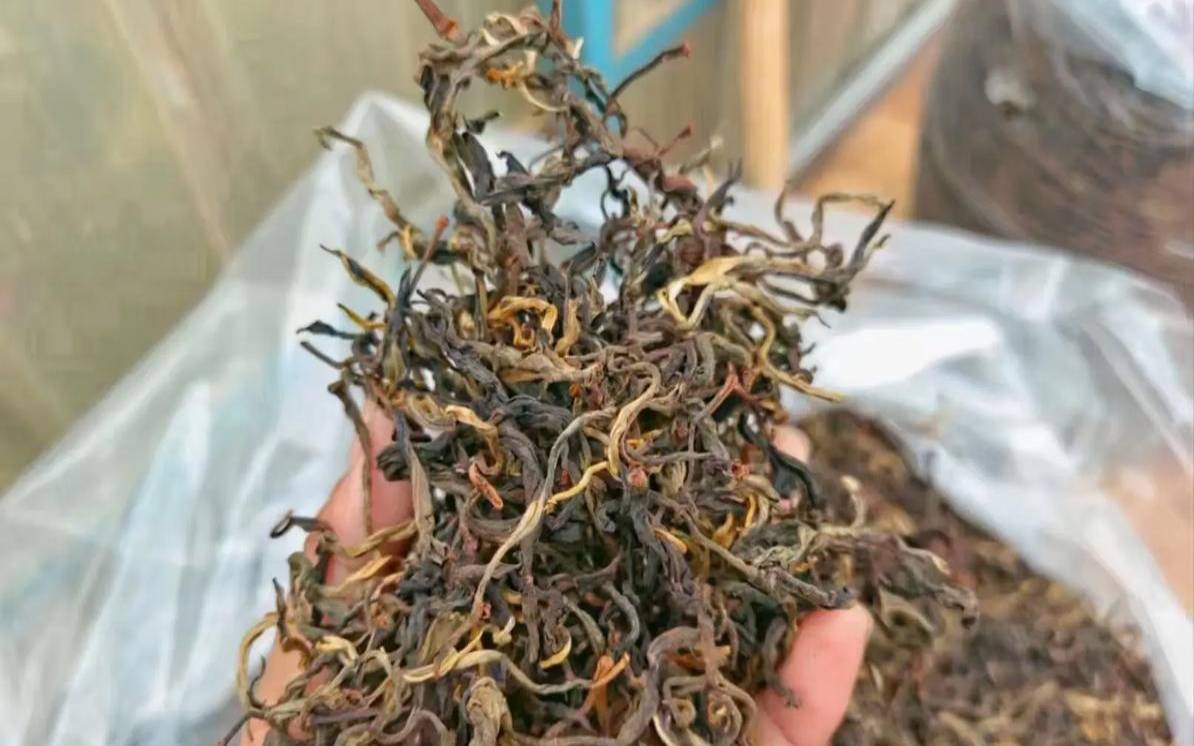 普洱晒红茶(古树普洱晒红茶)，普洱晒红茶是什么茶