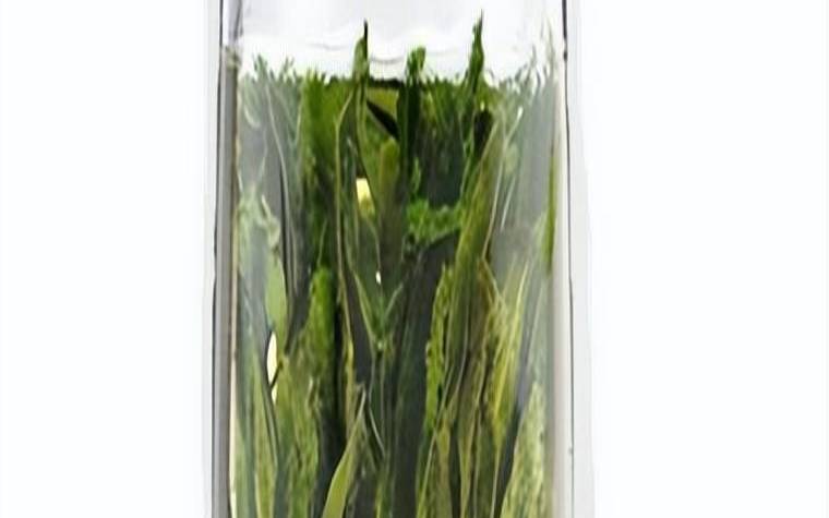 新茶多久可以放冰箱冷冻了,新茶放一年后能喝吗