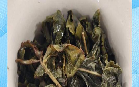 普洱茶乌龙茶,顶级乌龙茶多少钱一斤