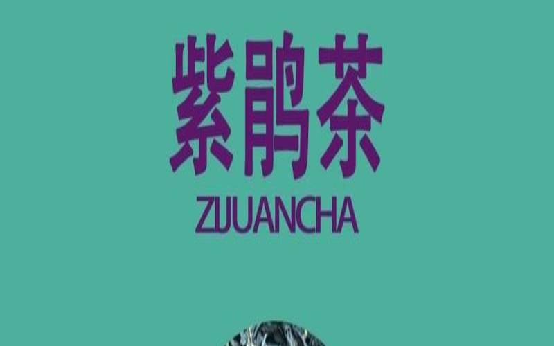 紫娟茶属于什么茶,云南紫鹃茶的功效与作用
