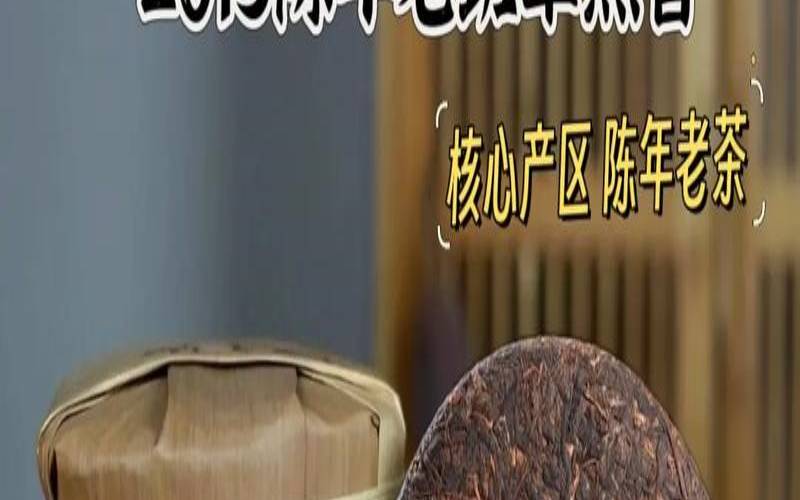普洱茶中的山野气韵(深山野韵普洱茶),普洱茶的山野气韵是什么 普洱茶中的山野气韵(深山野韵普洱茶),普洱茶的山野气韵是什么
