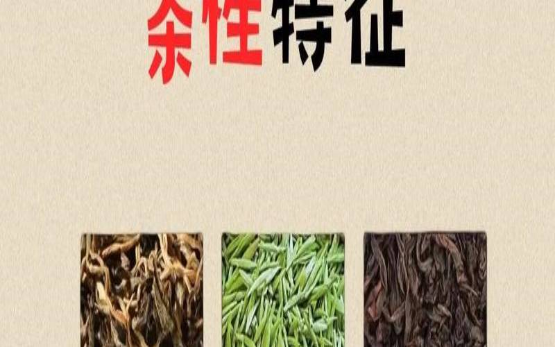 冬天适合喝什么茶养胃,胃寒适合喝什么茶