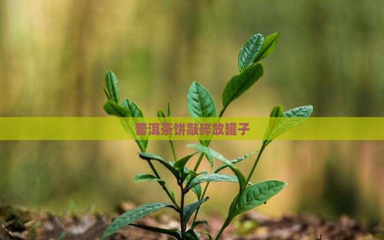 普洱压缩茶饼怎么弄碎,普洱茶饼如何弄碎窍门 普洱压缩茶饼怎么弄碎,普洱茶饼如何弄碎窍门