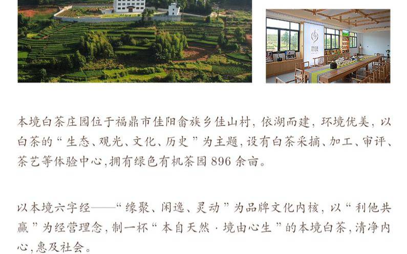 从志书、古诗文中寻找福鼎茶业的历史发展，福鼎茶业有限公司